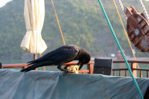 Baía de Halong, no Vietnã