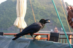 Baía de Halong, no Vietnã