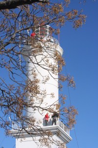 Colonia / Foto de Carla Lencastre