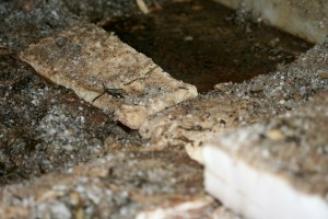 Carrara, Toscana / Foto de Carla Lencastre