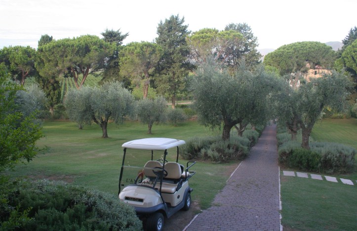 Carrinho de golfe para passear pela vinícola