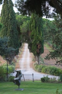 Ducasse, Toscana / Foto de Carla Lencastre