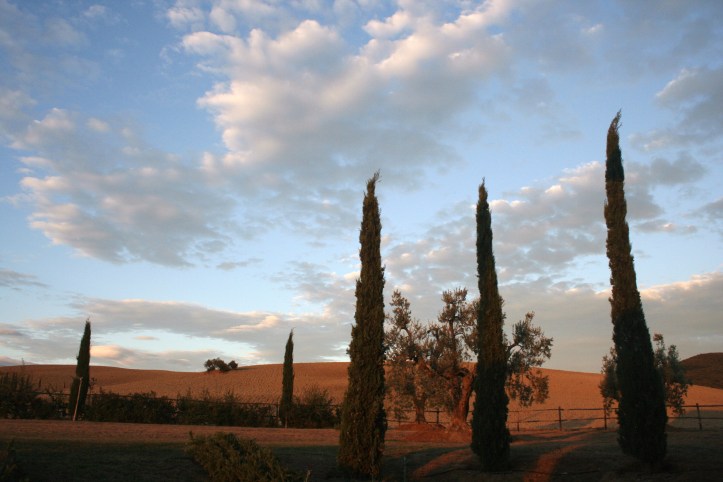 Bolgheri, Toscana / Foto de Carla Lencastre