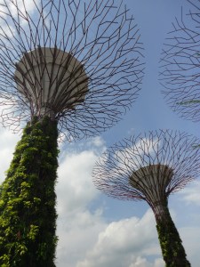 Cingapura / Foto de Carla Lencastre