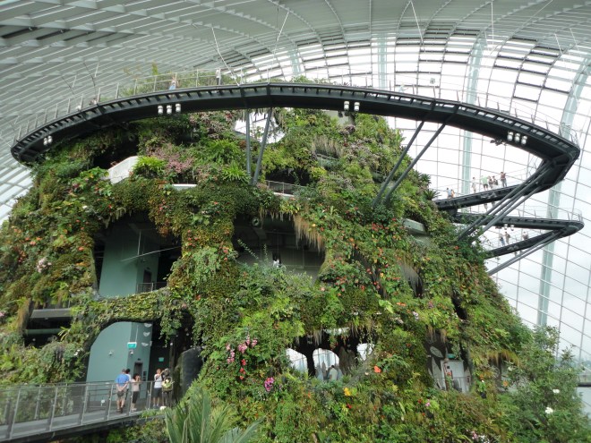 Cloud Forest