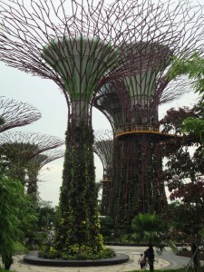 Cingapura / Foto de Carla Lencastre