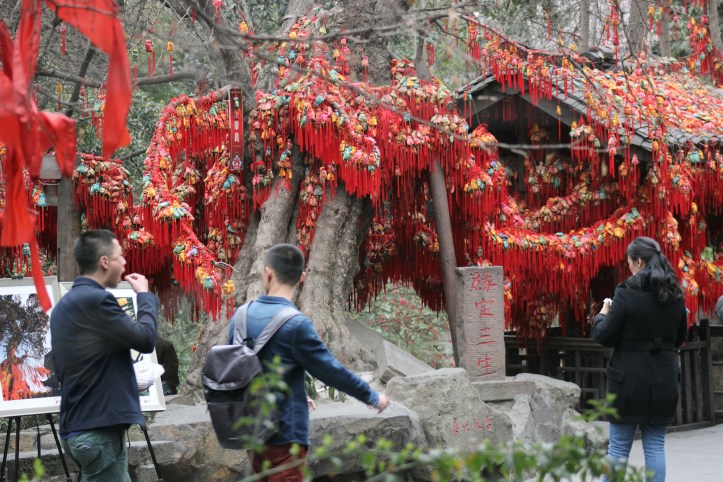 A árvore dos desejos de Jinlin