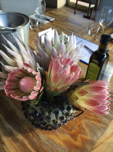 Protea em vinícola da Hermanus Wine Route