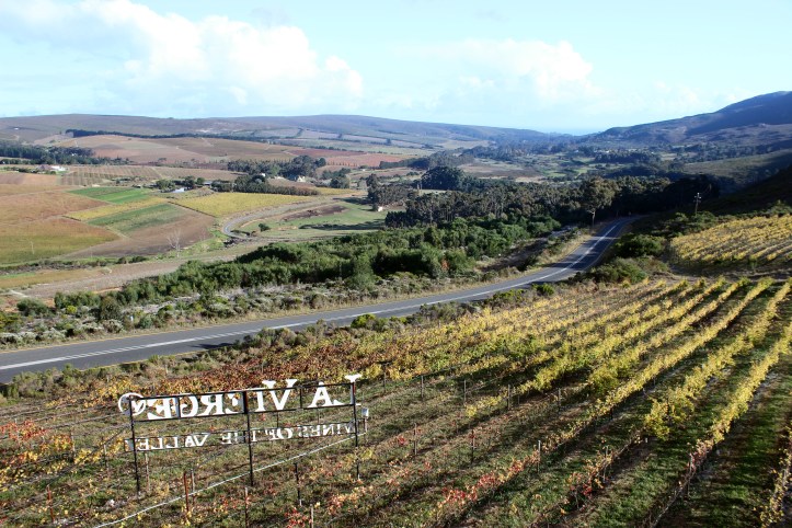 Vinhedos de La Vierge