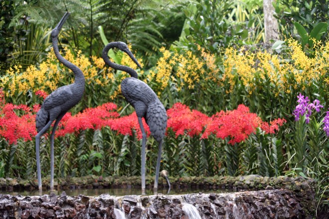 Jardim Botânico de Cingapura