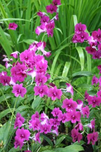 Cingapura / Foto de Carla Lencastre