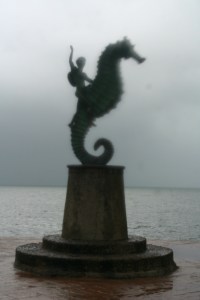 Cavalo-marinho em tempestade tropical