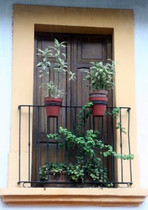 Puerto Vallarta / Foto de Carla Lencastre