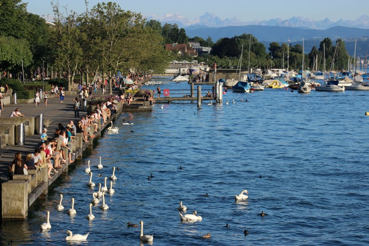 Verão às margens do Limmat
