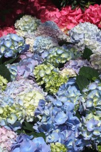 Las Vegas / Foto de Carla Lencastre